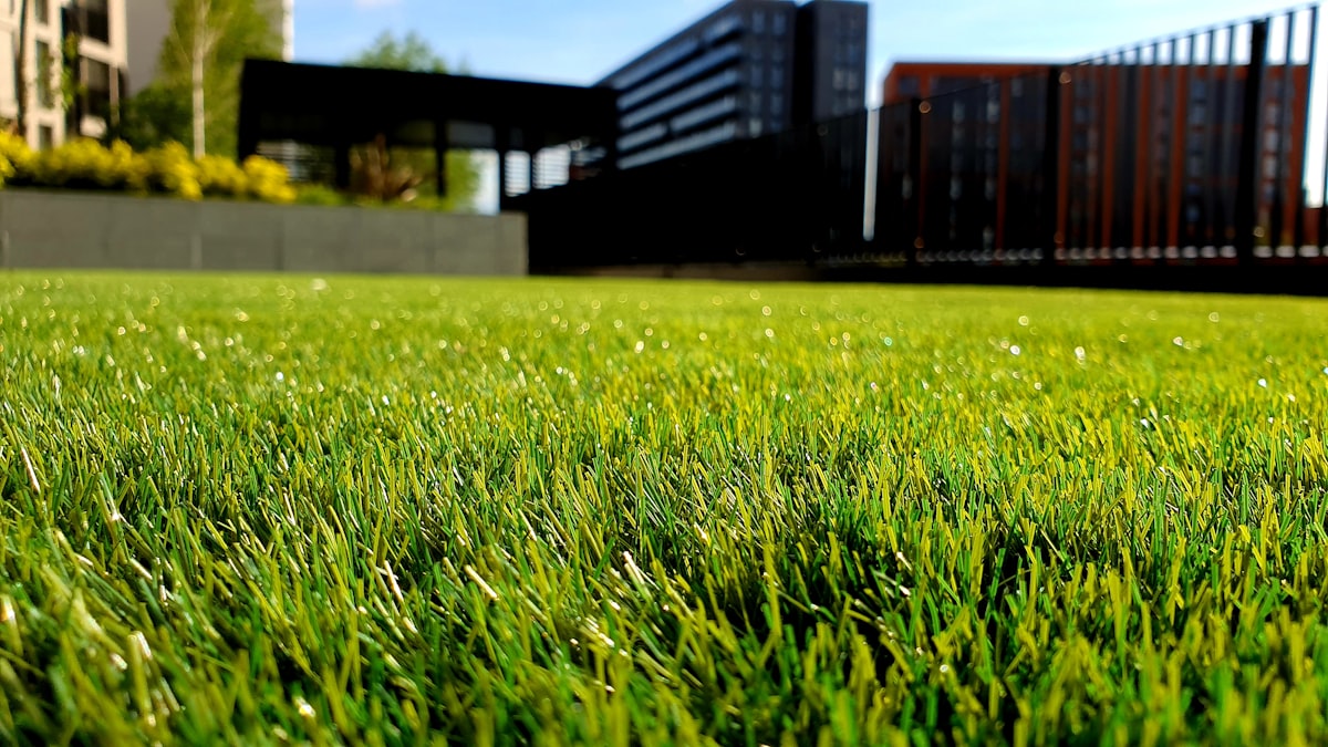 Turf Supply & Installation Illawarra